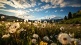Dandelions on the meadow in the mountains at sunset. Springtime Concept with a Copy Space. Mothers Day Concept.