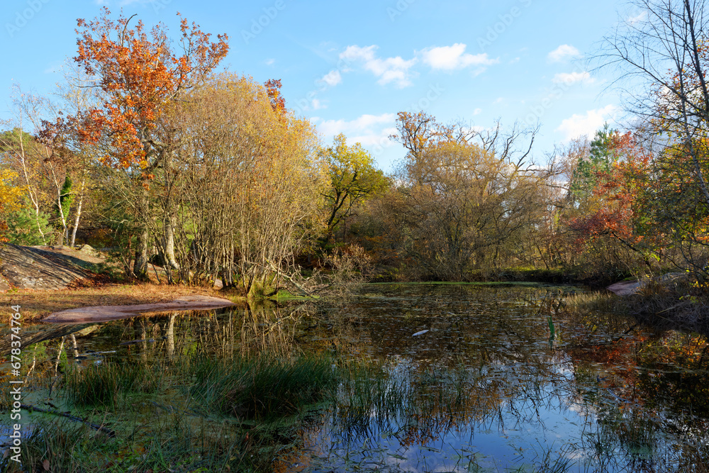 The Franchard pond in Fontainebleau forest The Franchard pond in Fontainebleau forest