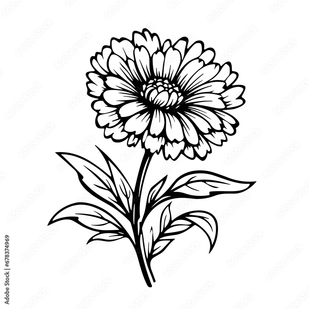 line drawing, line art png, line art prints, spring clipart, line art rose, rose clipart, floral svg, flower png, wildflower svg, flower clipart, bouquet svg, tattoo svg, line art, svg files, svg file