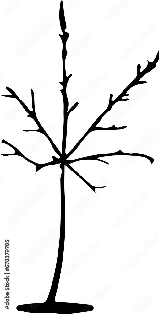 Sketch autumn leaves Sketch autumn leaves