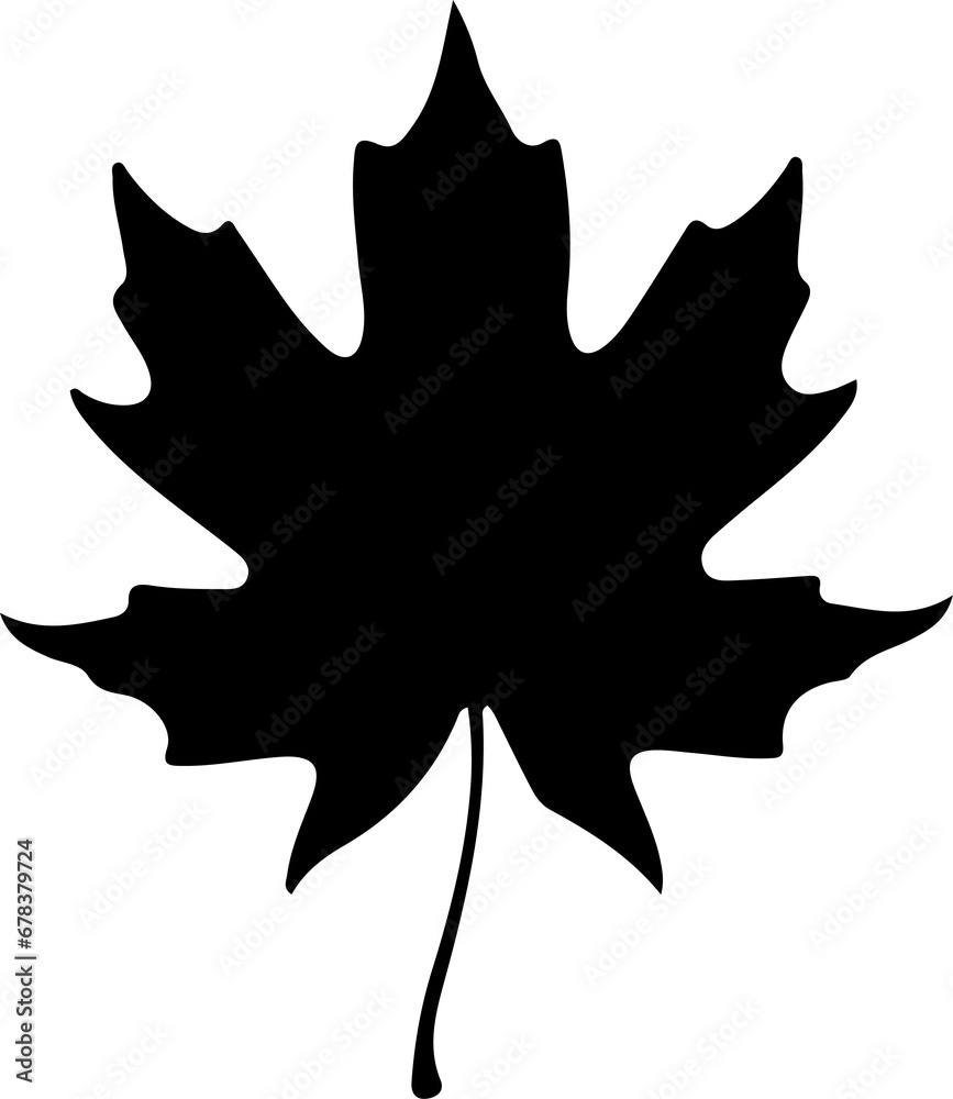 Sketch autumn leaves