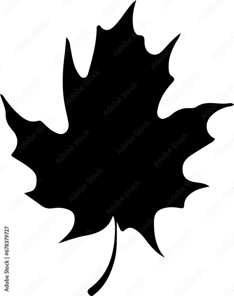 Sketch autumn leaves Sketch autumn leaves