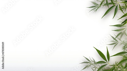 a captivating modern website banner with a minimalist touch, featuring realistic weed buds, hemp on a white background. © lililia