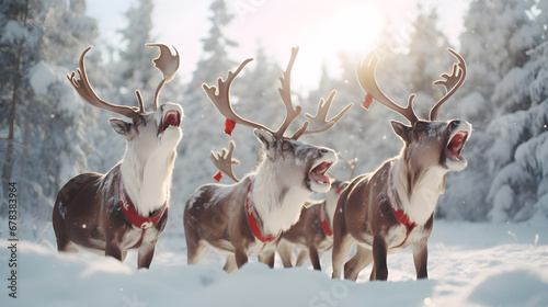 Singing Reindeer in the Snow photo