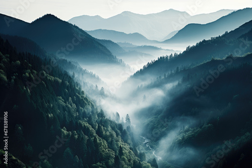 Landscape of a forest valley with a river covered in fog in the morning photo