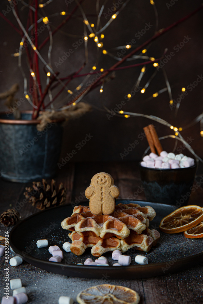 Belgian waffles and ginger cookie with hot chocolate cup and marshmallow on dark background 