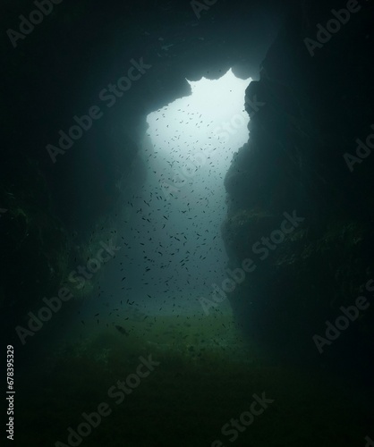 School of little fish swimming between the underwater rocks