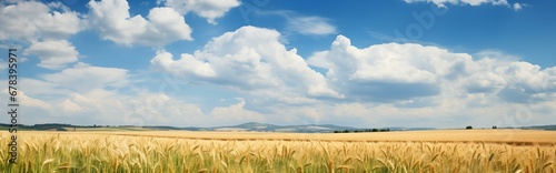 Wheat field summer landscape. Detailed farm field scene. A serene, chilly landscape. Template for banner, cover. Realistic photo style. Simple cartoon design. oil painting.