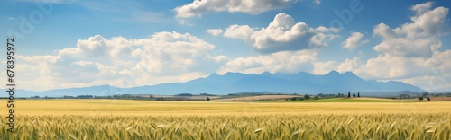 Wheat field summer landscape. Detailed farm field scene. A serene, chilly landscape. Template for banner, cover. Realistic photo style. Simple cartoon design. oil painting.