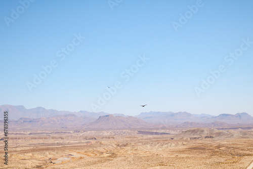 Birds Flying Over Open Land