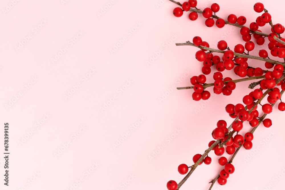 Closeup of branch of red winterberry on a pink background. Closeup of branch of red winterberry on a pink background.