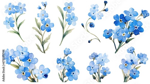 Fototapeta Naklejka Na Ścianę i Meble -  set of forget-me-not flowers on white background, watercolor illustration
