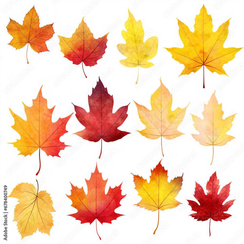 Autumn leaves isolated on white background