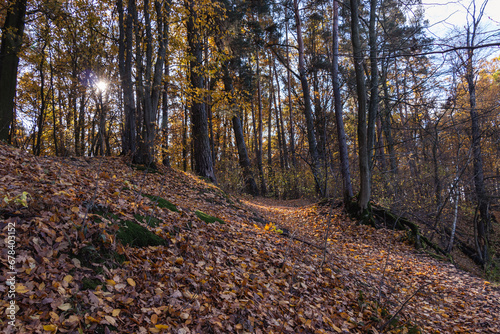 Park Bolimowski in Mazovia, Poland in autumn sunny day