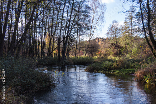 Rawka River in Park Bolimowski in Mazovia, Poland in autumn sunny day photo
