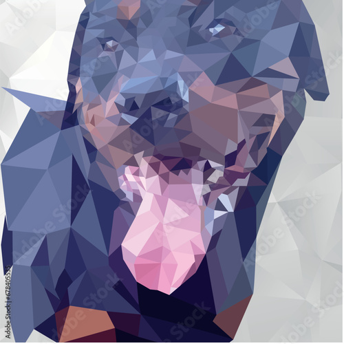 Perro Rottweiler 