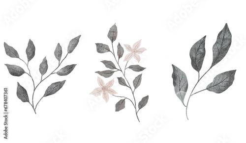 branch with gray leaves and beige flowers. Hand drawn watercolor illustration. Delicate clipart for wedding decor, cards, fabrics. Isolated object, botanical stylized picture.