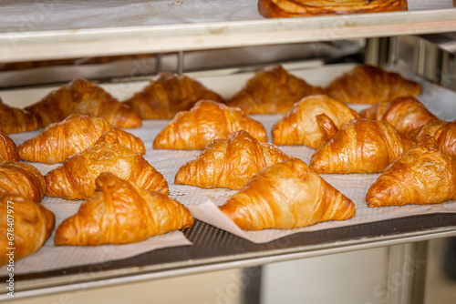 Lots of freshly baked French croissants on a shelf in a bakery. Fresh classic pastries for breakfast and coffee. Production of bakery products
