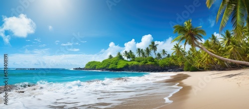The stunning landscape showcases a captivating summer scene with its vibrant green palm trees contrasting against the clear blue sky and the mesmerizing waves crashing onto the sandy beach c