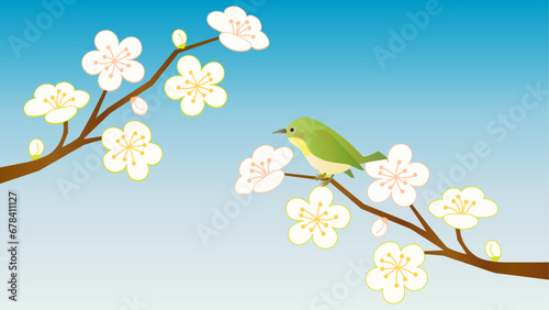 お正月などに使える白梅にとまる小鳥のイラスト　アスペクト比16：9バージョン
