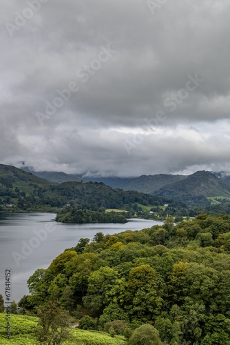 Vertical shot of thick vegetation surrounding a lake under a cloudy gloomy sky