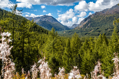 mountain