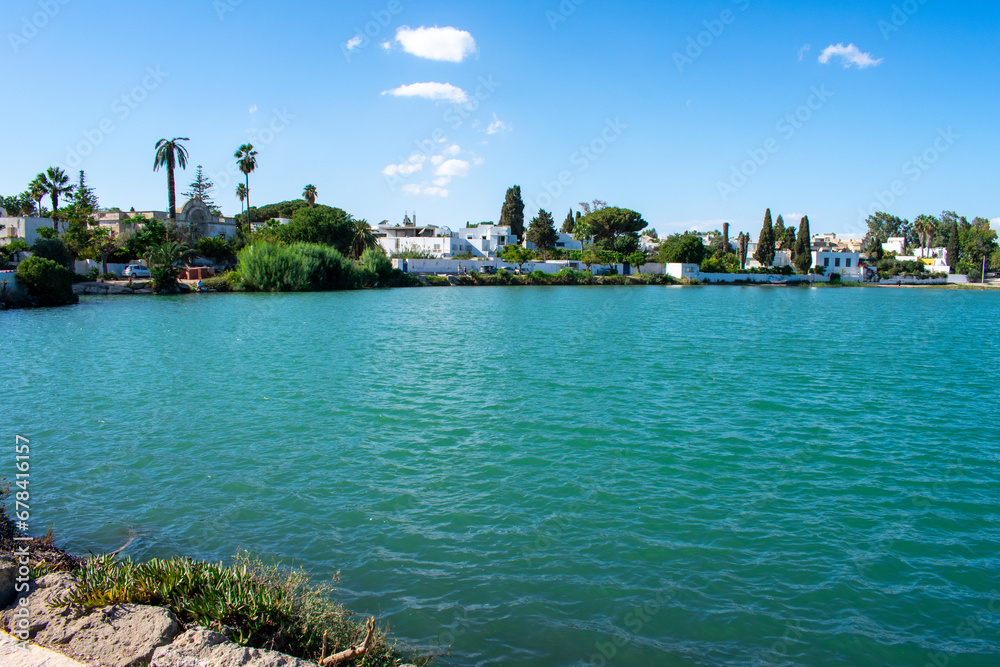 Fototapeta premium Panoramic view of ancient ruins with thermal baths, archaeological site in Carthage. Tunis, Tunisia 