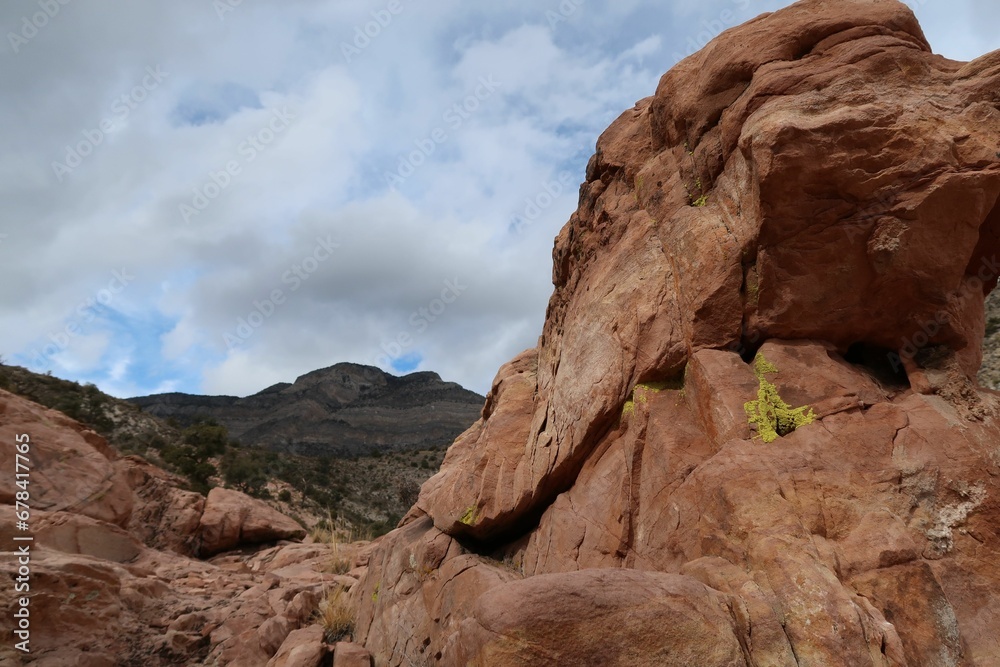 Scene of the Red Rock Canyon State Park with the background of mountains in Las Vegas, Nevada, USA