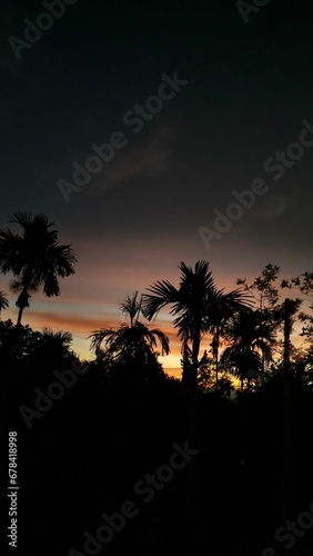 Vertical silhouettes of palm trees and vegetation at sunset, with a beautiful sky in the background