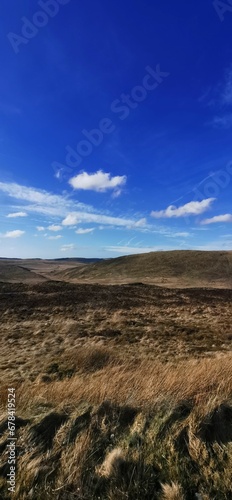 Beautiful landscape of dry plains on a sunny morning