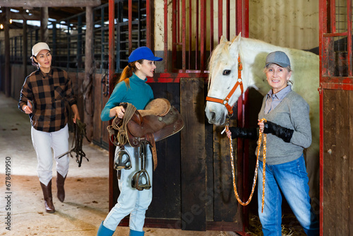Group of positive skilled women workers of stable preparing white thoroughbred racehorse for riding, leading animal out of stall, holding saddle and harness