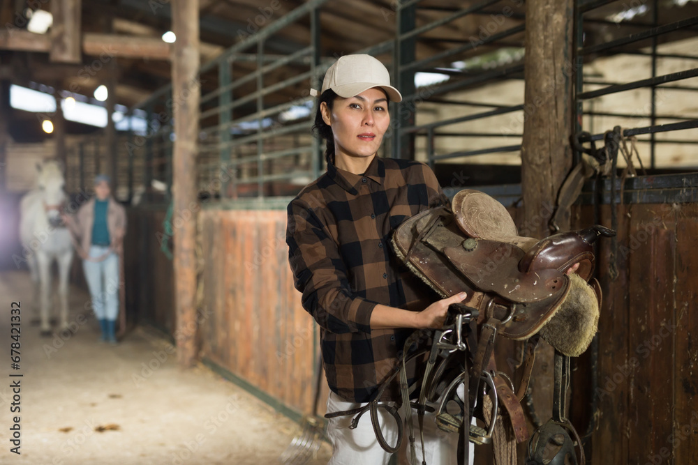 Asian woman horse breeder carrying leather saddle in horse barn.