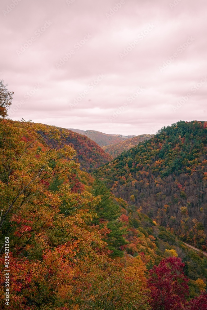 Vertical of the hills covered in colorful autumn forest at the PA Grand Canyon under the cloudy sky