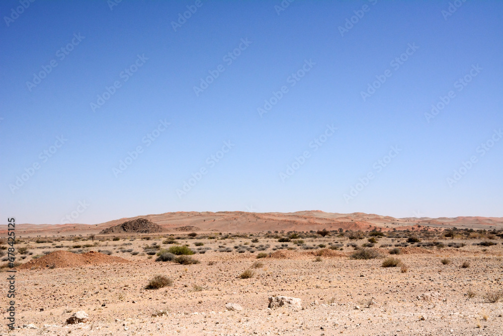 Desert dry landscape with small bushes under blue sky Desert dry landscape with small bushes under blue sky