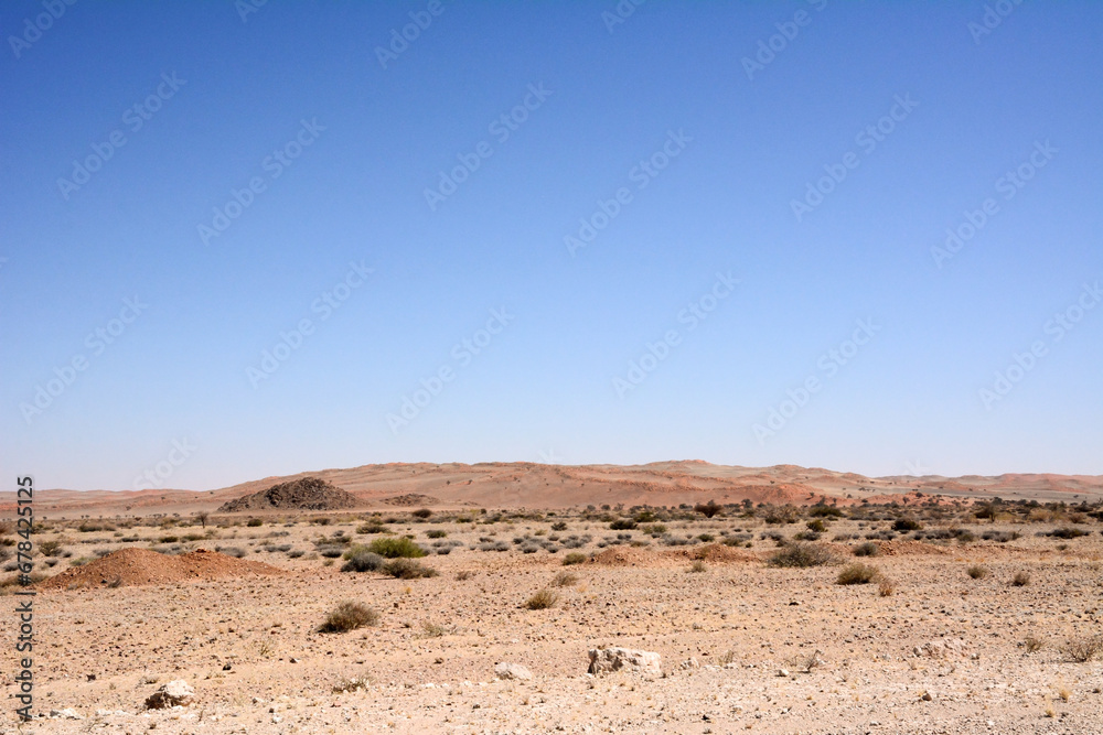 Desert dry landscape with small bushes under blue sky