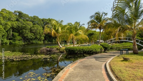 Mangroves on the coasts of Venezuela