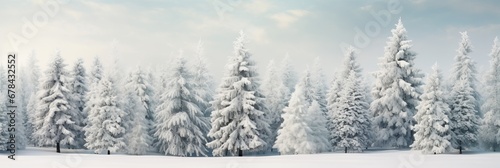 Enchanting winter landscape with snow covered fir branches and captivating magical ambiance © Ilja
