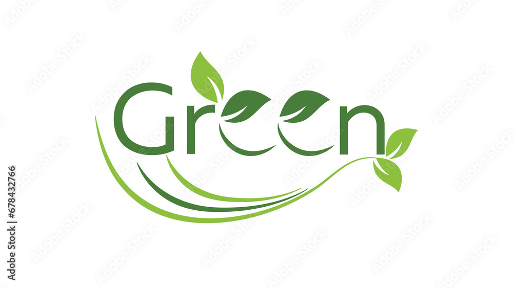 hand holding green leaf hand holding green leaf