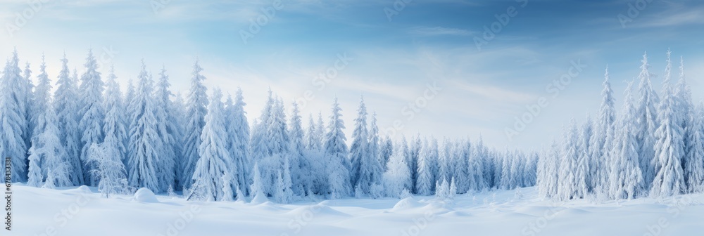 Enchanting winter panorama with glistening snow covered fir branches and delicate snowfall