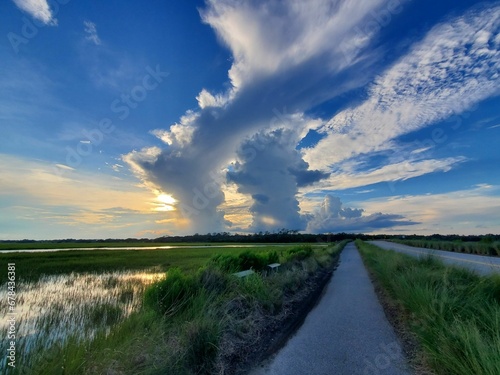 Картината върху платно Beautiful landscape of a road through green fields on Kiawah Island, South Carol