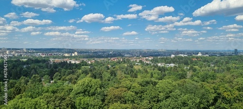 Aerial cityscape behind green trees on a sunny day