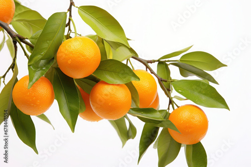 tangerines with leaves isolated on white Background, Generative ai