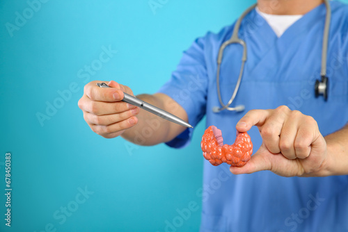 Endocrinologist showing thyroid gland model on light blue background, closeup. Space for text