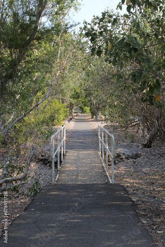 Path through a seaside native garden at Spinnaker Park in Gladstone, Queensland, Australia photo