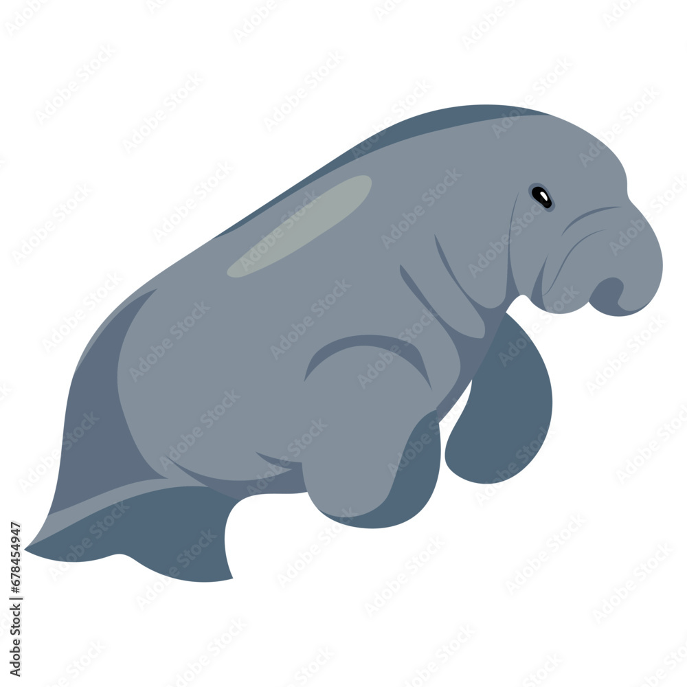australia animal dugong