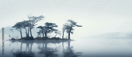 water dwelling trees © Vusal