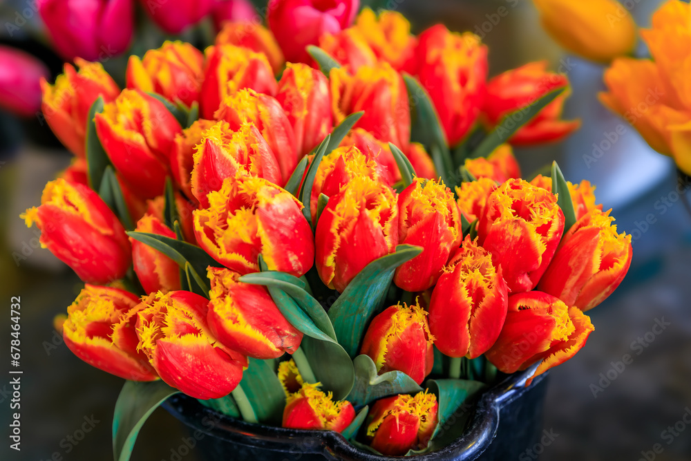 Buckets and bouquets of colorful bright spring tulips from local growers for sale at the famous farmer's market in Seattle, Washington, USA Buckets and bouquets of colorful bright spring tulips from local growers for sale at the famous farmer's market in Seattle, Washington, USA