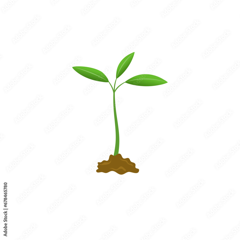 Fototapeta premium Grow plant tree grow agriculture icons