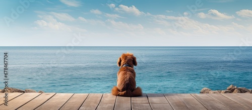 Canine observing ocean from pier photo