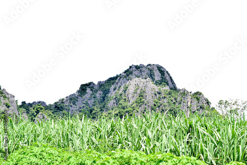 The mountain is a set of isolated islands on a white background with a trail.